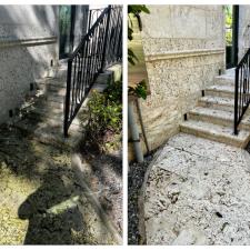 Coral Stone Cleaning 1