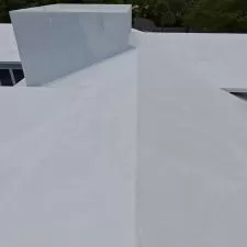 Roof Cleaning Sealing 1